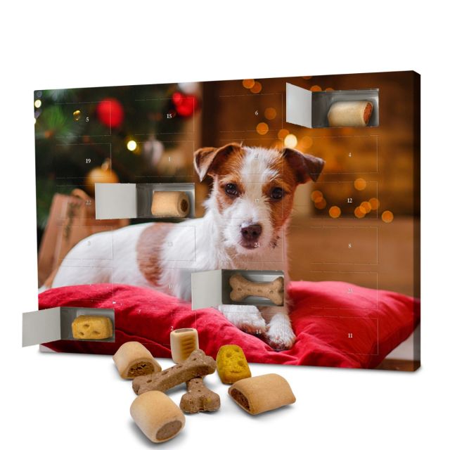 Adventskalender 'Hunde-Leckerli'